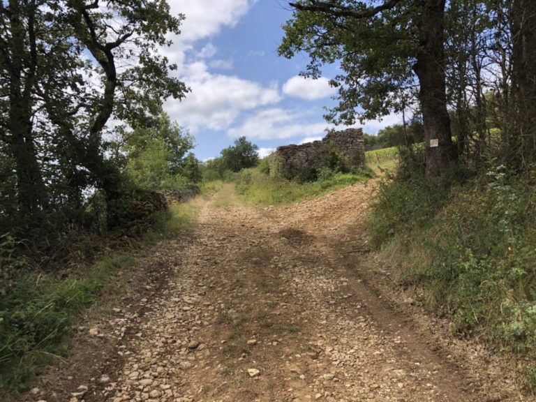 Accueil - Domaine Philippe Guyonnet