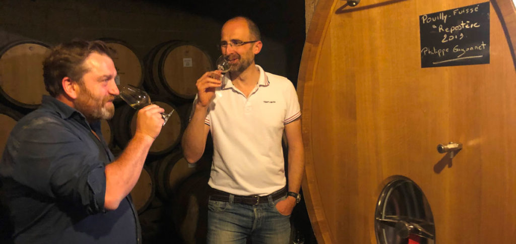 Renaissance de clos clunisien - Domaine Philippe Guyonnet