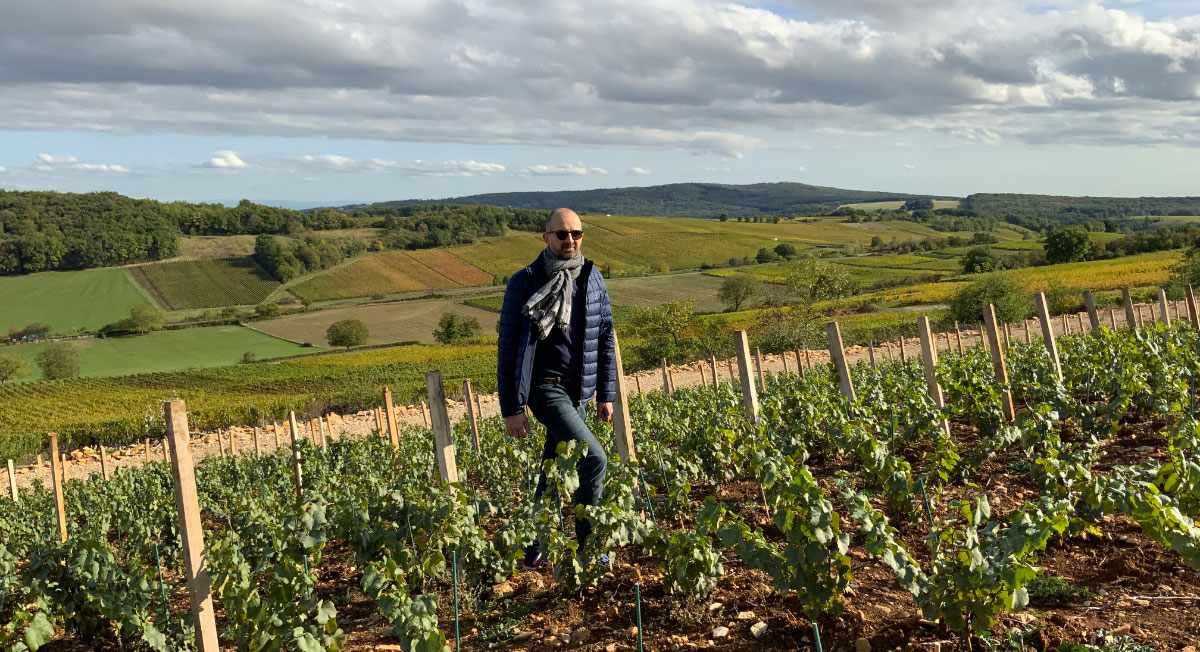 Accueil - Domaine Philippe Guyonnet